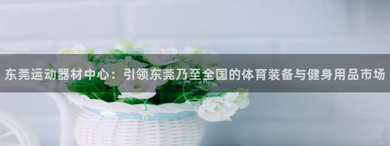 tpwallet官网下载平台注册流程图：东莞运动器材中心：引