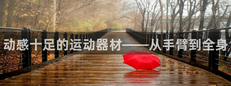 tpwallet官网下载娱乐：动感十足的运动器材——从手臂到