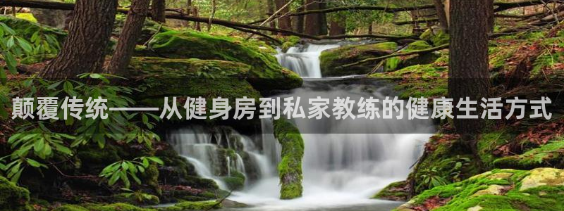 tpwallet官网下载招商电话号码查询：颠覆传统—