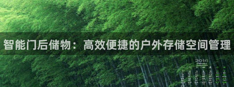 tp官方平台体育：智能门后储物：高效便捷的户外存储空间管理
