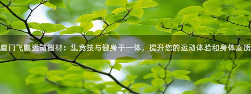 tpwallet官网下载招商电话号码查询：厦门飞鹏运