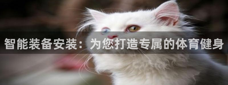 tpwallet官网下载平台注册要钱吗：智能装备安装