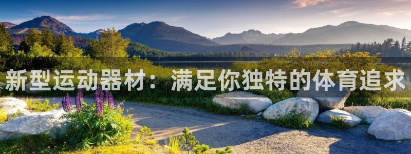 tpwallet官网下载平台：新型运动器材：满足你独